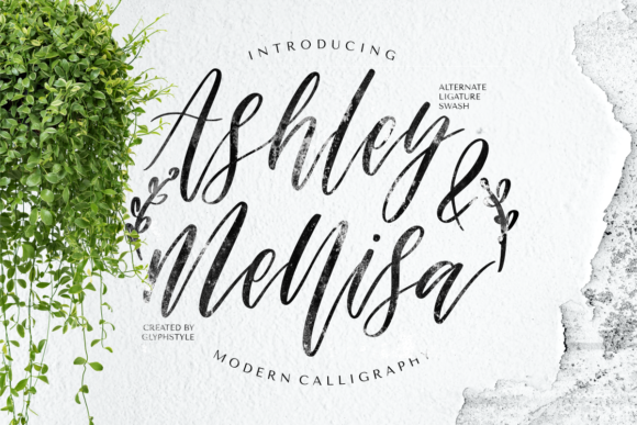 Ashley Mellisa: A Designer's Practical Review
