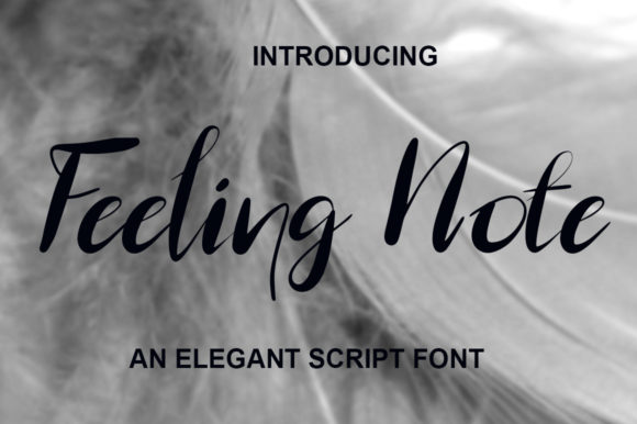 Feeling Note: The Perfect Script Font for Brand Identity