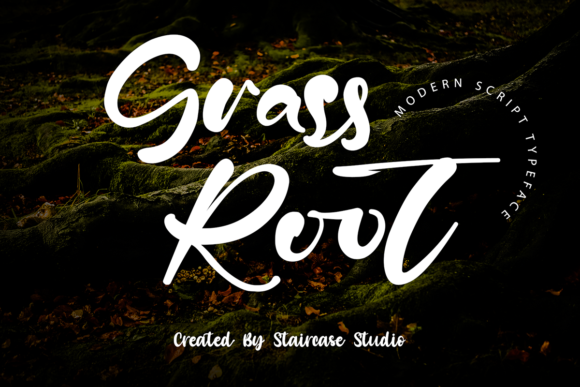Grass Root: A Modern Script Font for Brand Identity