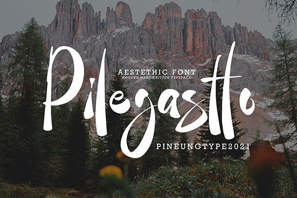 Pilegastto: A Bold Handwritten Font for Branding