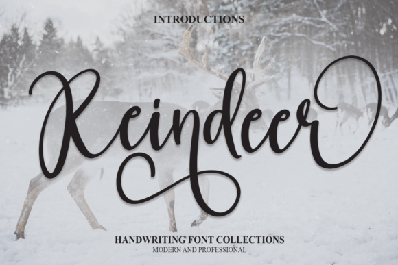 Reindeer: A Modern Handwritten Font for Your Brand