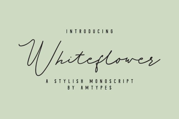 Whiteflower: A Sophisticated Script Font for Editorial Design